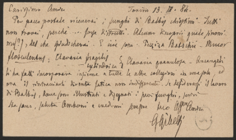 Anteprima dell'oggetto