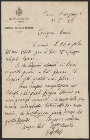 Anteprima dell'oggetto