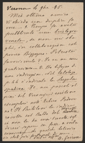 Anteprima dell'oggetto