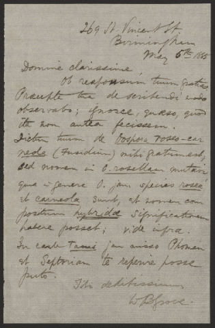 Anteprima dell'oggetto