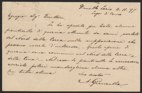 Anteprima dell'oggetto