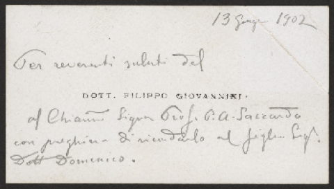 Anteprima dell'oggetto