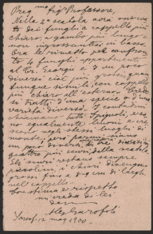 Anteprima dell'oggetto