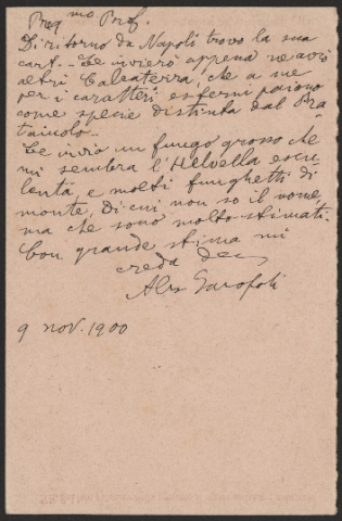 Anteprima dell'oggetto