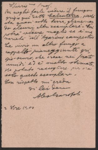 Anteprima dell'oggetto