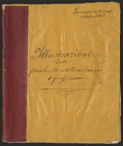 Anteprima dell'oggetto