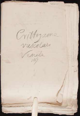 Anteprima dell'oggetto