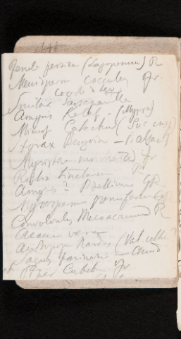 Anteprima dell'oggetto