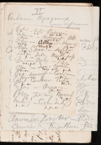 Anteprima dell'oggetto