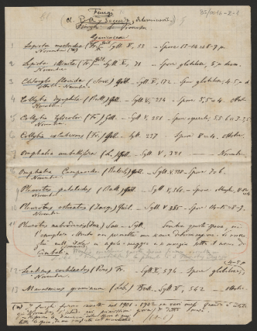 Anteprima dell'oggetto