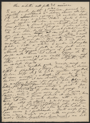 Anteprima dell'oggetto