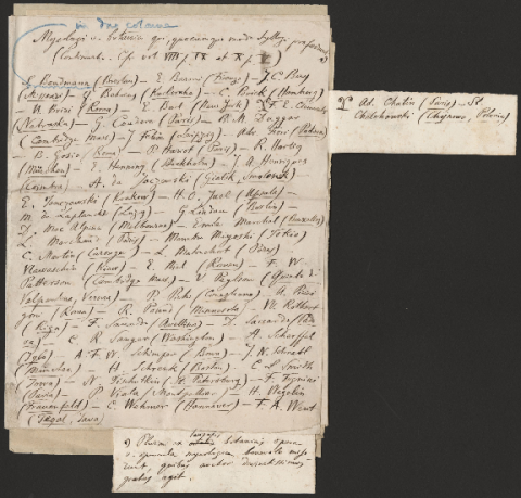 Anteprima dell'oggetto