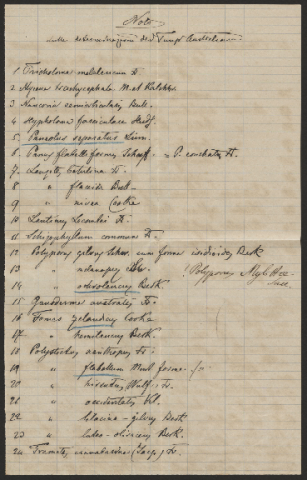 Anteprima dell'oggetto