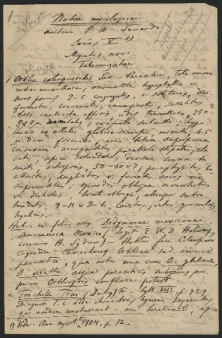 Anteprima dell'oggetto