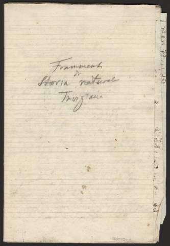 Anteprima dell'oggetto