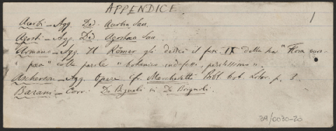 Anteprima dell'oggetto