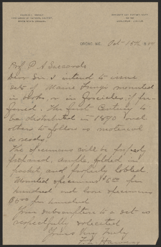 Anteprima dell'oggetto