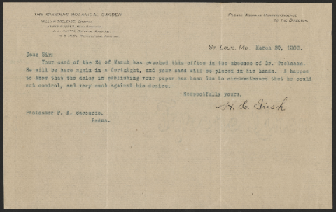 Anteprima dell'oggetto