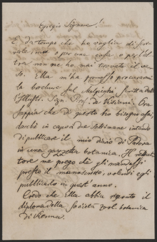 Anteprima dell'oggetto