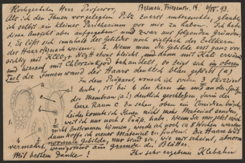 Anteprima dell'oggetto