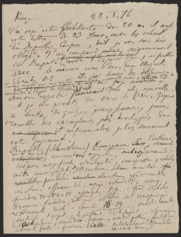 Anteprima dell'oggetto