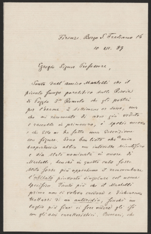 Anteprima dell'oggetto