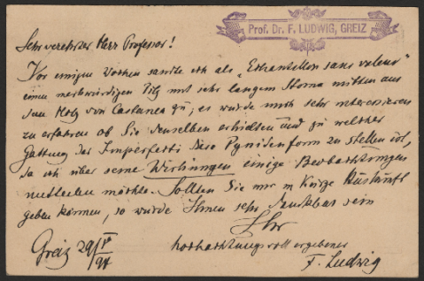 Anteprima dell'oggetto