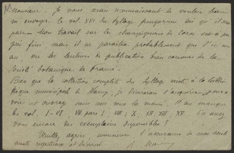 Anteprima dell'oggetto