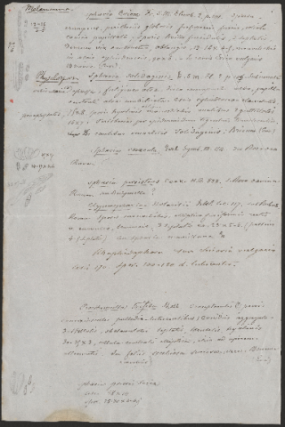 Anteprima dell'oggetto