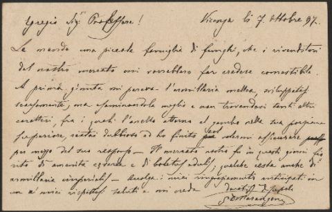 Anteprima dell'oggetto