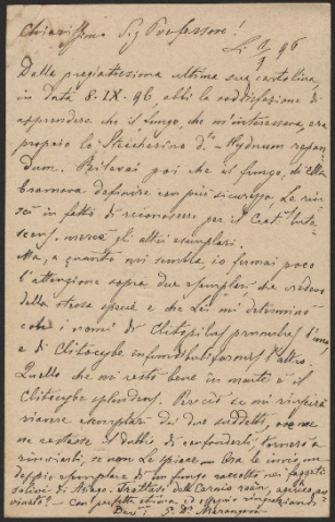 Anteprima dell'oggetto