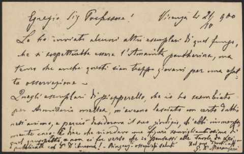 Anteprima dell'oggetto