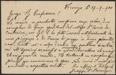 Anteprima dell'oggetto