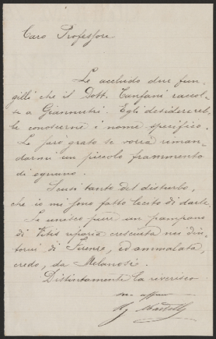 Anteprima dell'oggetto