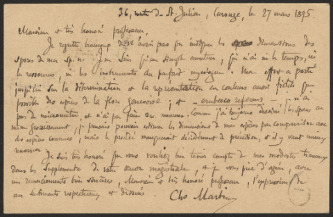 Anteprima dell'oggetto