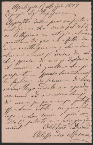 Anteprima dell'oggetto