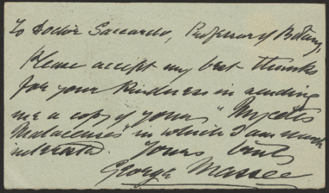 Anteprima dell'oggetto