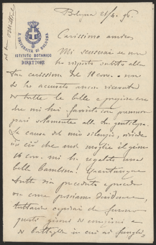 Anteprima dell'oggetto