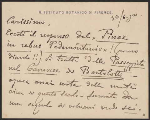 Anteprima dell'oggetto