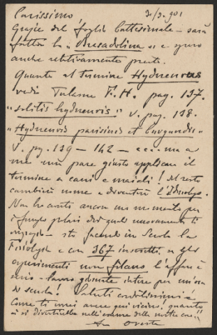 Anteprima dell'oggetto