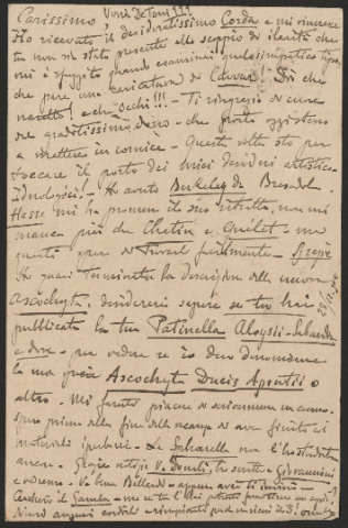 Anteprima dell'oggetto