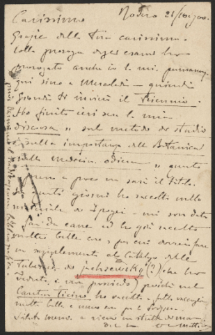 Anteprima dell'oggetto