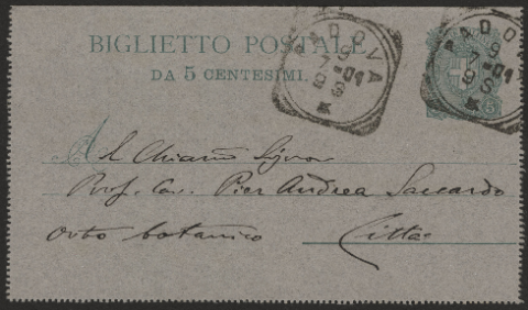 Anteprima dell'oggetto