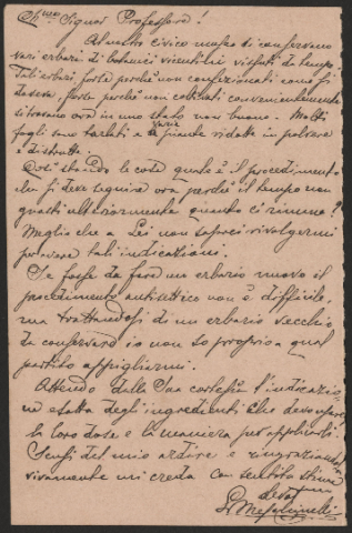 Anteprima dell'oggetto