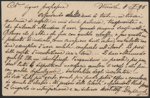 Anteprima dell'oggetto