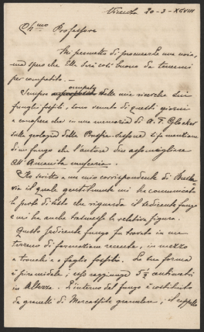 Anteprima dell'oggetto