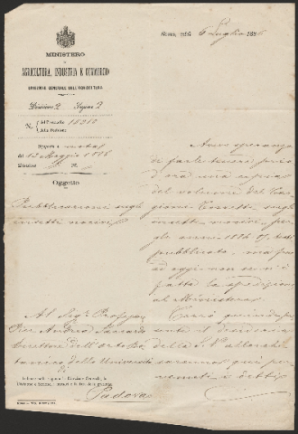 Anteprima dell'oggetto