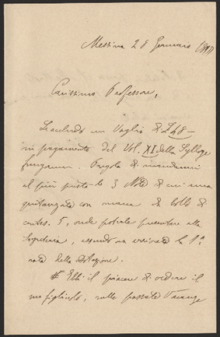 Anteprima dell'oggetto