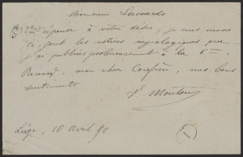 Anteprima dell'oggetto