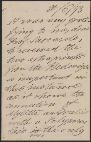 Anteprima dell'oggetto